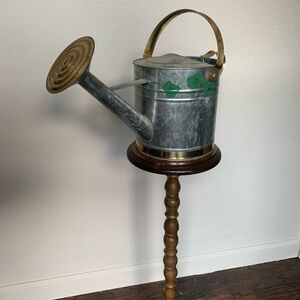 Metallic Watering Can with Brass Accents